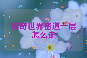 传奇世界密道一层怎么走