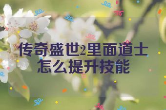 传奇盛世2里面道士怎么提升技能