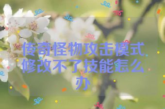 传奇怪物攻击模式修改不了技能怎么办