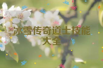 冰雪传奇道士技能大全