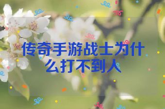 传奇手游战士为什么打不到人
