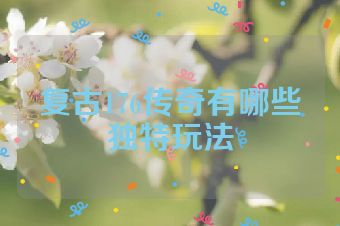 复古176传奇有哪些独特玩法