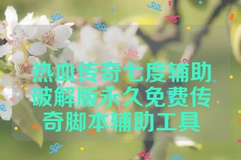 热血传奇七度辅助破解版永久免费传奇脚本辅助工具