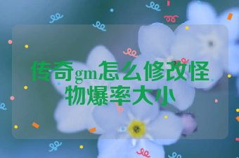 传奇gm怎么修改怪物爆率大小
