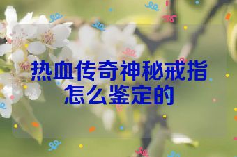 热血传奇神秘戒指怎么鉴定的