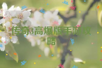 传奇3高爆版手游攻略