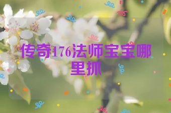 传奇176法师宝宝哪里抓