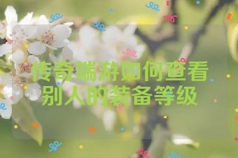 传奇端游如何查看别人的装备等级
