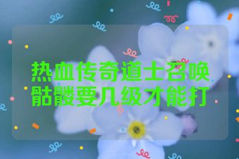 热血传奇道士召唤骷髅要几级才能打