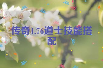 传奇1.76道士技能搭配