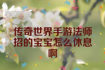 传奇世界手游法师招的宝宝怎么休息啊