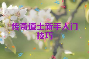 传奇道士新手入门技巧