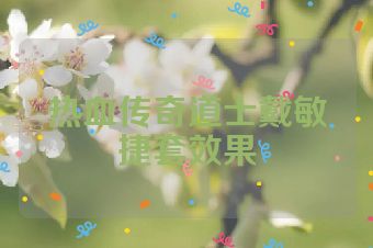 热血传奇道士戴敏捷套效果