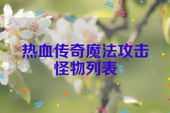 热血传奇魔法攻击怪物列表