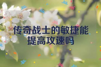 传奇战士的敏捷能提高攻速吗