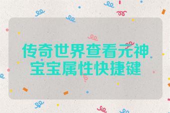 传奇世界查看元神宝宝属性快捷键