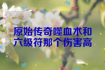 原始传奇噬血术和六级符那个伤害高