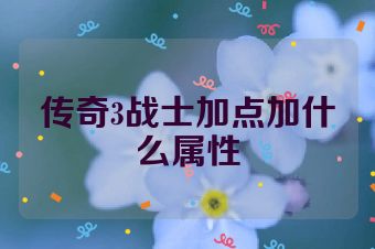 传奇3战士加点加什么属性