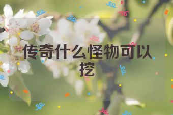 传奇什么怪物可以挖