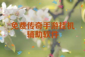 免费传奇手游挂机辅助软件