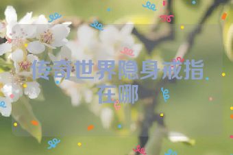 传奇世界隐身戒指在哪