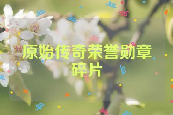 原始传奇荣誉勋章碎片