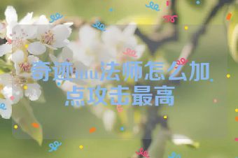 奇迹mu法师怎么加点攻击最高