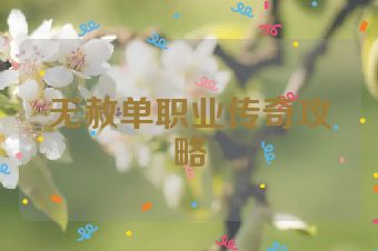 无赦单职业传奇攻略
