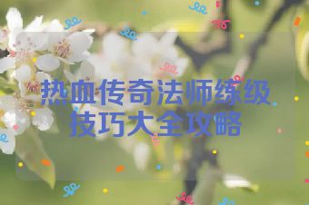 热血传奇法师练级技巧大全攻略