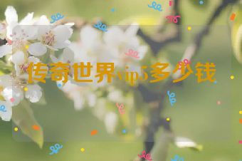 传奇世界vip5多少钱