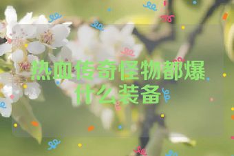 热血传奇怪物都爆什么装备