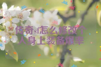 传奇sf怎么修改个人身上装备爆率