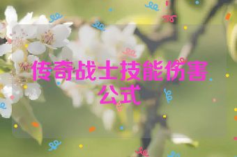 传奇战士技能伤害公式