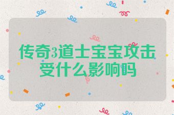 传奇3道士宝宝攻击受什么影响吗