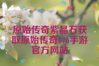 原始传奇紫晶石获取原始传奇176手游官方网站