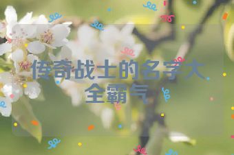 传奇战士的名字大全霸气