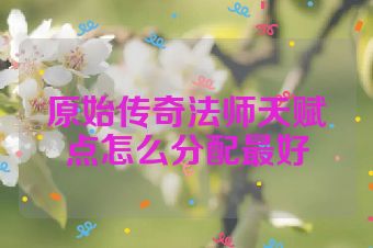 原始传奇法师天赋点怎么分配最好