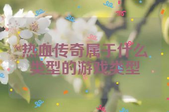 热血传奇属于什么类型的游戏类型