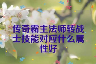 传奇霸主法师转战士技能对应什么属性好