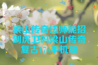 梁山传奇法师能招到虎卫吗梁山传奇复古176手机版