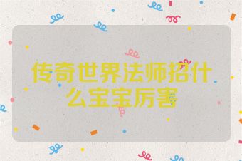传奇世界法师招什么宝宝厉害