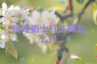 传奇道士打法师怎么打