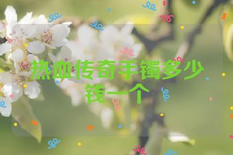 热血传奇手镯多少钱一个