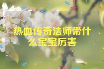 热血传奇法师带什么宝宝厉害