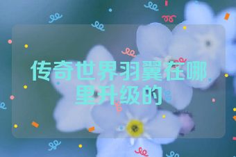 传奇世界羽翼在哪里升级的