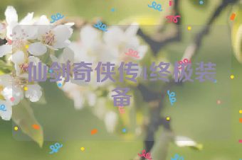 仙剑奇侠传4终极装备