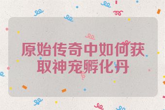 原始传奇中如何获取神宠孵化丹