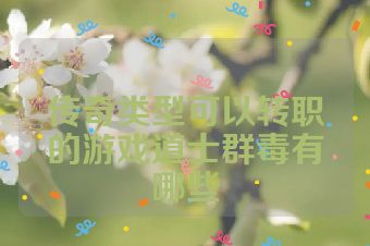 传奇类型可以转职的游戏道士群毒有哪些
