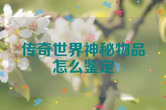 传奇世界神秘物品怎么鉴定