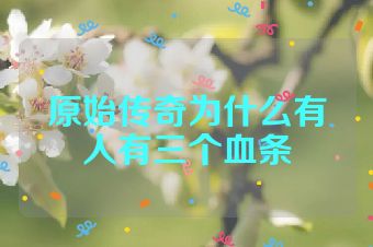 原始传奇为什么有人有三个血条